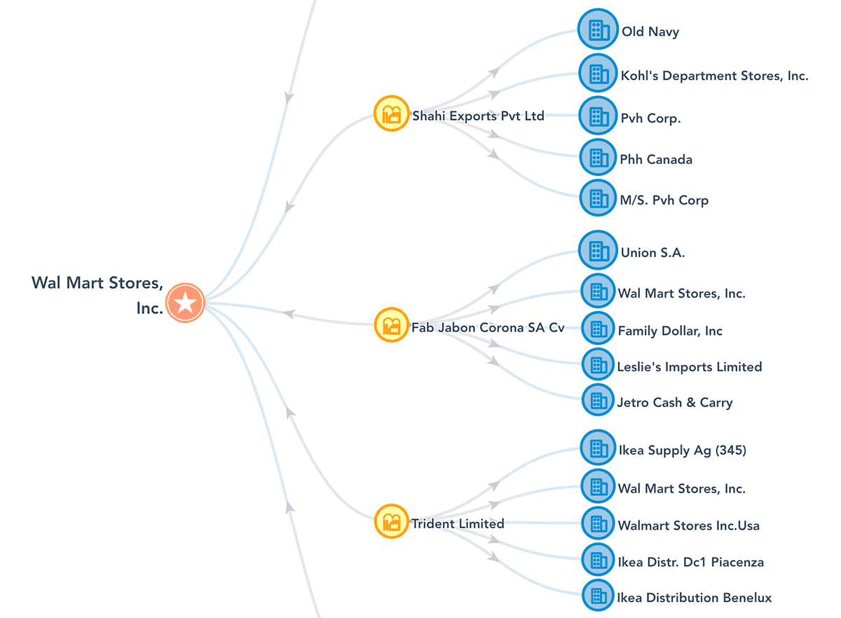 Screenshot of Network View